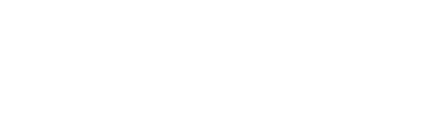 Berlin International University of Applied Sciences Logo